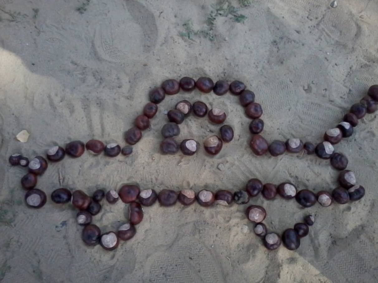 Лист каштана фото рисунок detsad 139617 1447254520 Домострой