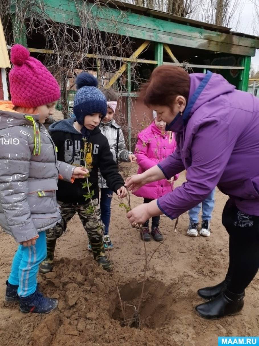 Социальная акция в доу посади дерево. Смотреть фото Социальная акция в доу посади дерево. Смотреть картинку Социальная акция в доу посади дерево. Картинка про Социальная акция в доу посади дерево. Фото Социальная акция в доу посади дерево