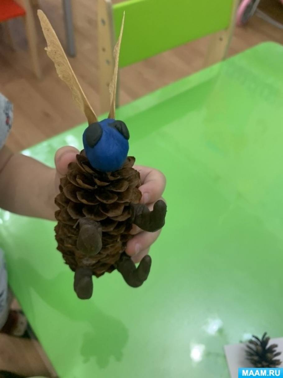 Поделки из шишек для детей 5 6