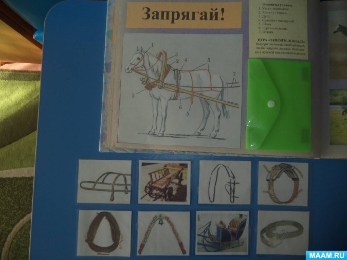 Смотреть фотографию №5 Фото №5 Уточнять и расширять знания детей о лошади