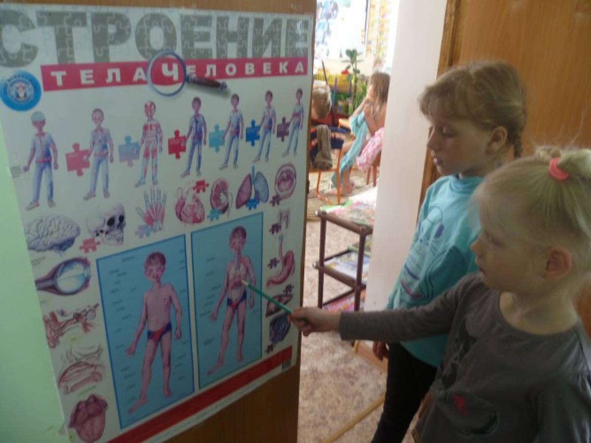 День семьи в доу фотоотчет. День чистоты в доу фотоотчёт. день желаний в доу фотоотчет. день велосипеда в детском саду фотоотчет.