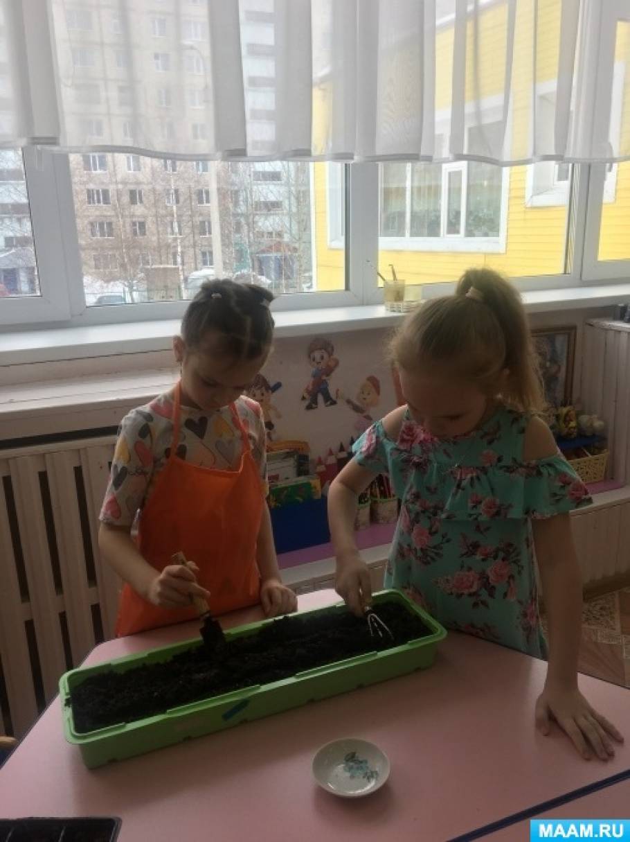 Украсим планету цветами акция в доу. Смотреть фото Украсим планету цветами акция в доу. Смотреть картинку Украсим планету цветами акция в доу. Картинка про Украсим планету цветами акция в доу. Фото Украсим планету цветами акция в доу