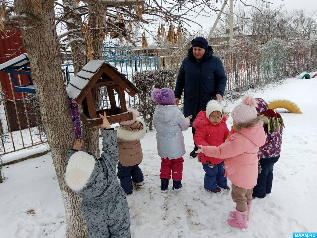 Зимующие птицы картинки для детей. Зимующие птицы для детей 3-4 лет. Зимующие птицы. Птицы картинки для детей. Птицы урок для детей.