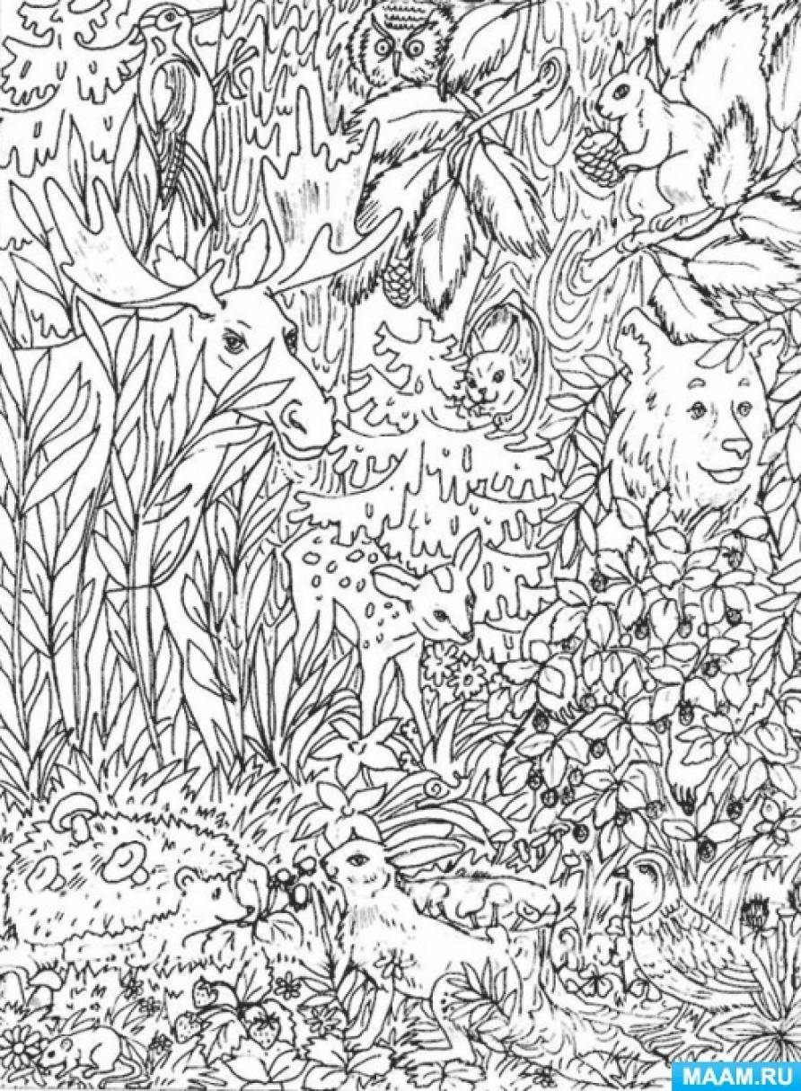 Раскраски для детей на тему осень. Осенний пейзаж раскраска для детей. Спрятанные предметы для дошкольников. Спрятанные предметы для дошкольников. Животные спрятались.