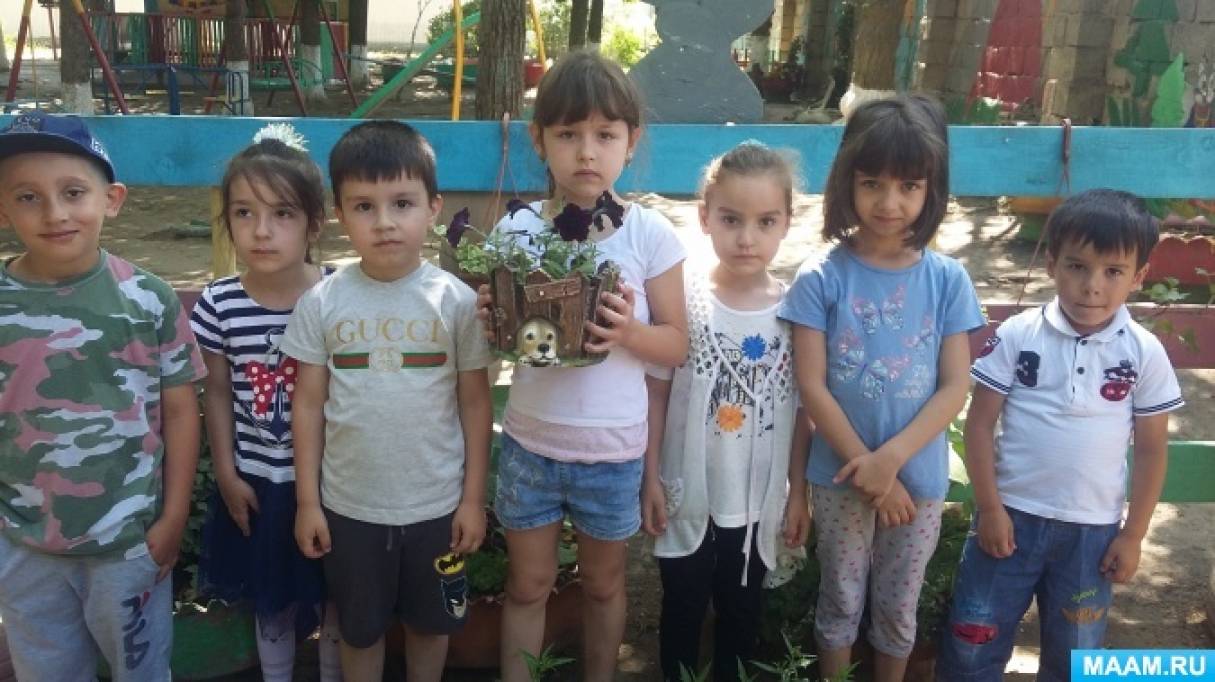 Конспект прогулки «Наблюдение за петунией» в старшей группе Фото Конспект прогулки «Наблюдение за петунией» в старшей группе