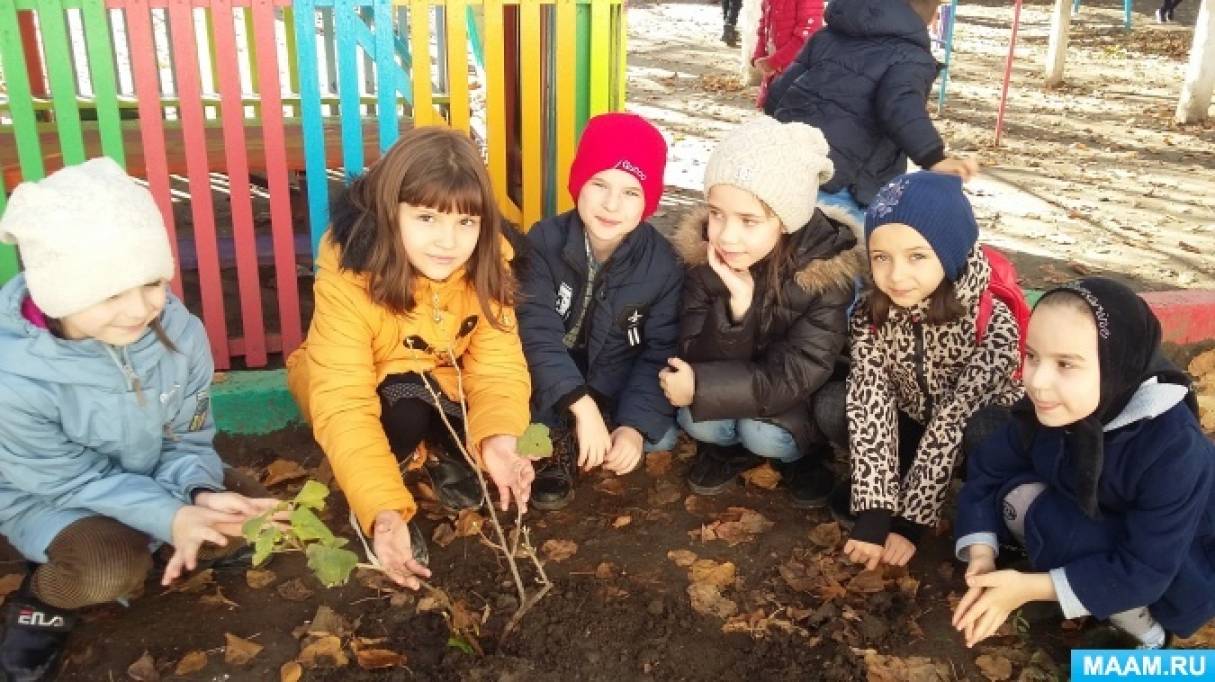 Что рассказать детям о смородине. detsad 1422729 1573225549. Что рассказать детям о смородине фото. Что рассказать детям о смородине-detsad 1422729 1573225549. картинка Что рассказать детям о смородине. картинка detsad 1422729 1573225549. Смородина – это одна из самых привычных всем нам ягод. При этом она хранит множество секретов, за которые её высоко ценят биологи и медики. В рамках очередного тематического дня познакомим детей с этой чудо-ягодой поближе.