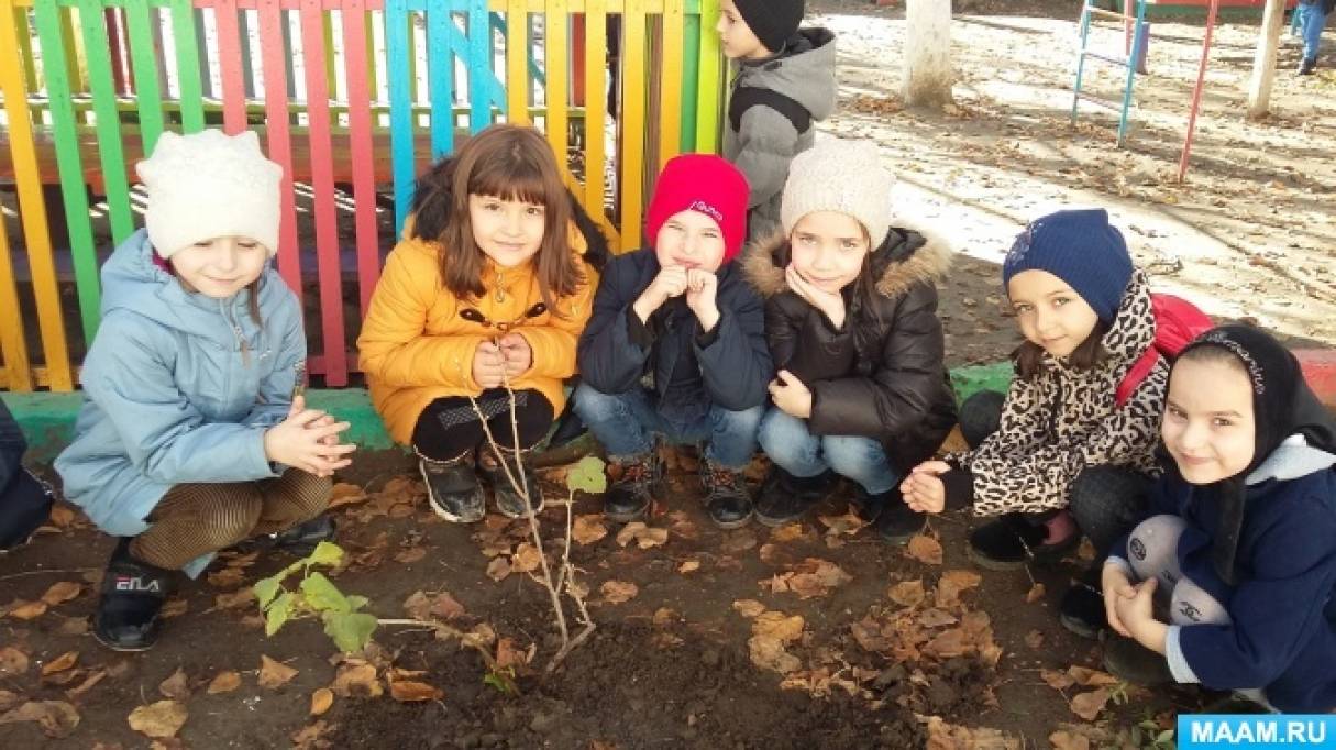 Что рассказать детям о смородине. detsad 1422729 1573225665. Что рассказать детям о смородине фото. Что рассказать детям о смородине-detsad 1422729 1573225665. картинка Что рассказать детям о смородине. картинка detsad 1422729 1573225665. Смородина – это одна из самых привычных всем нам ягод. При этом она хранит множество секретов, за которые её высоко ценят биологи и медики. В рамках очередного тематического дня познакомим детей с этой чудо-ягодой поближе.