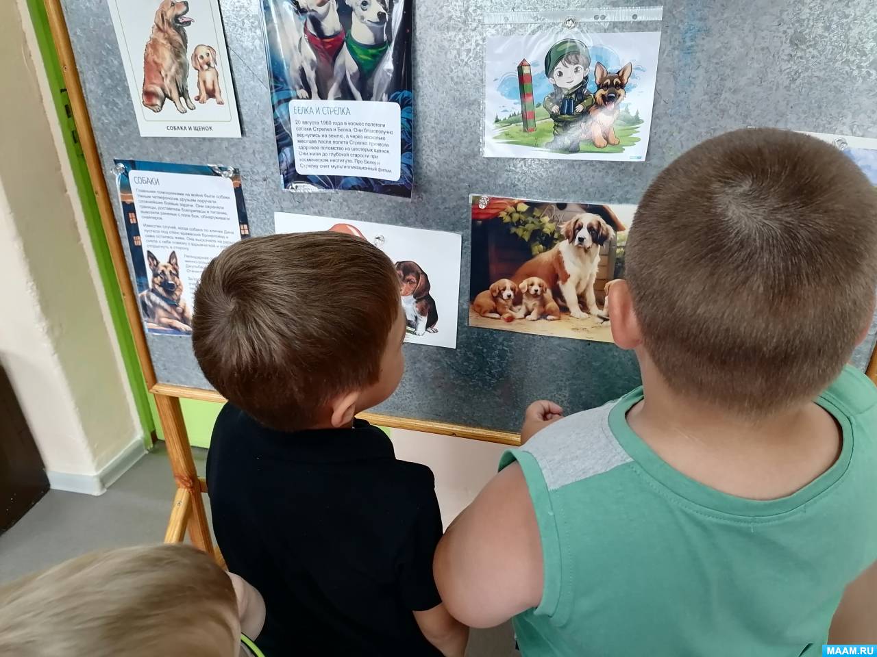 ��������� �������������� ���� ����� � ������� ��������������� ������