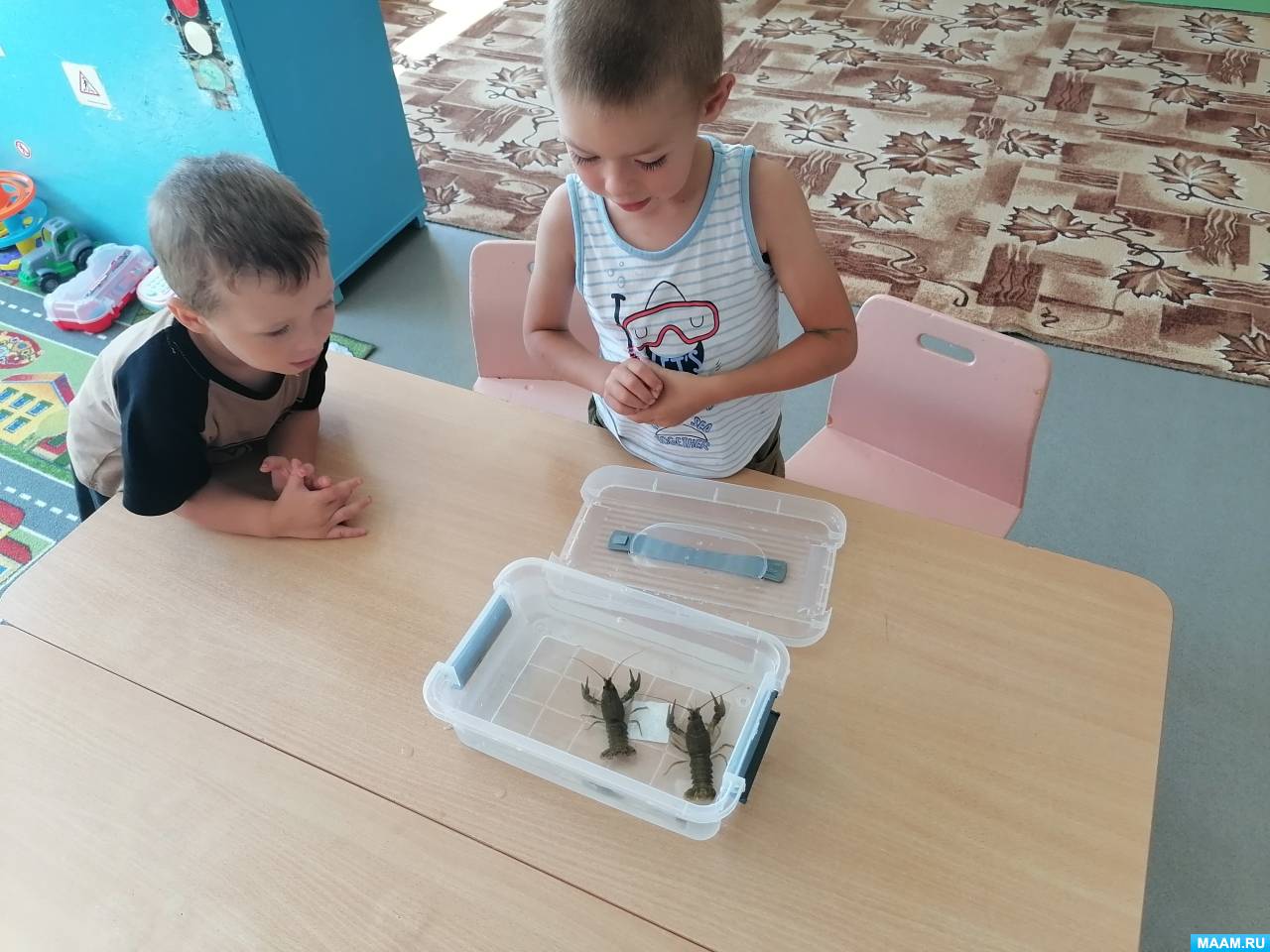 Смотреть фотографию №2 Фото №2 Конспекты занятий развивать наблюдательность любознательность воспитывать интерес к живой природе расширять словарный запас детей