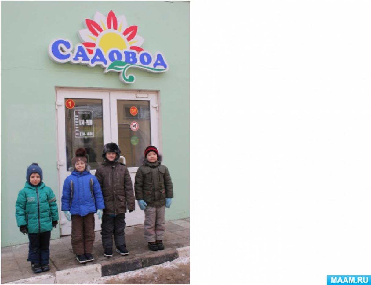Проект в выпускной группе «Наблюдения за ростом лука» для детей с нарушением слуха Фото Проект в выпускной группе «Наблюдения за ростом лука» для детей с нарушением слуха