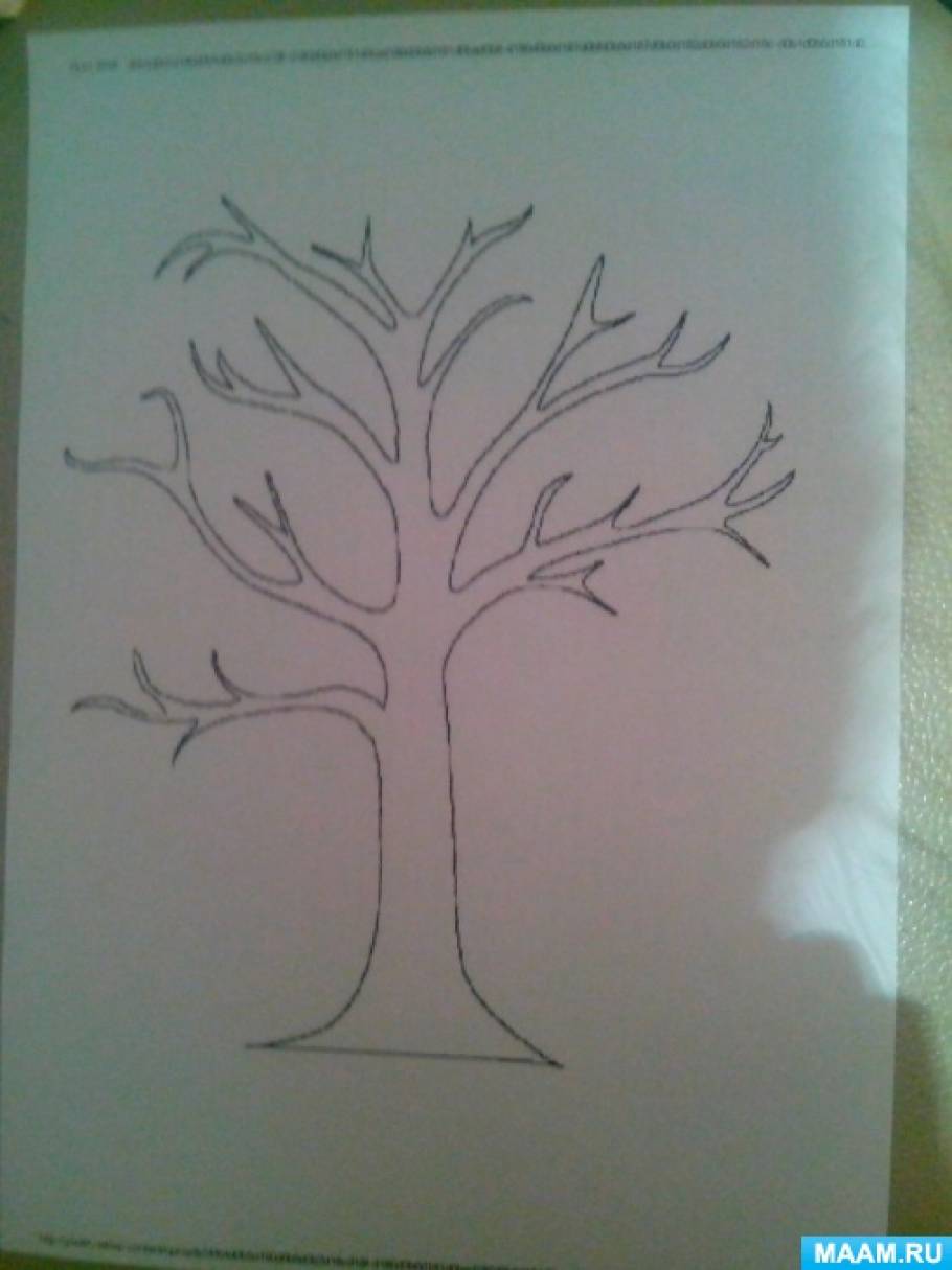 Тема деревья первая младшая группа. Рисование дерева в средней группе. Развесистое дерево средняя группа. Рисование дерева в младшей группе. Рисование дерево 2 младшая группа.
