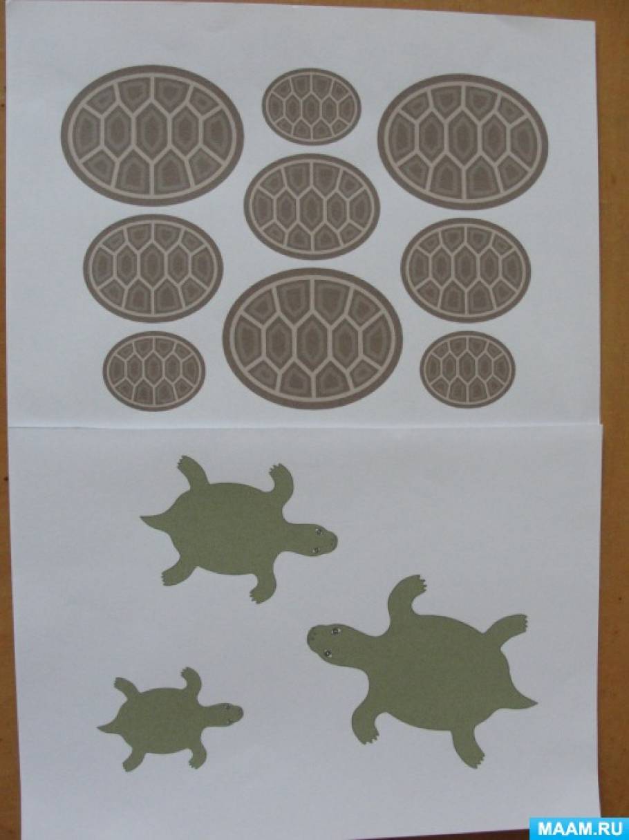 Черепаха средняя группа. Черепаха занятие для детей. Занятие черепаха для детей 2-3 лет. Черепашки занятия для детей. Тематическое занятие Черепаза.