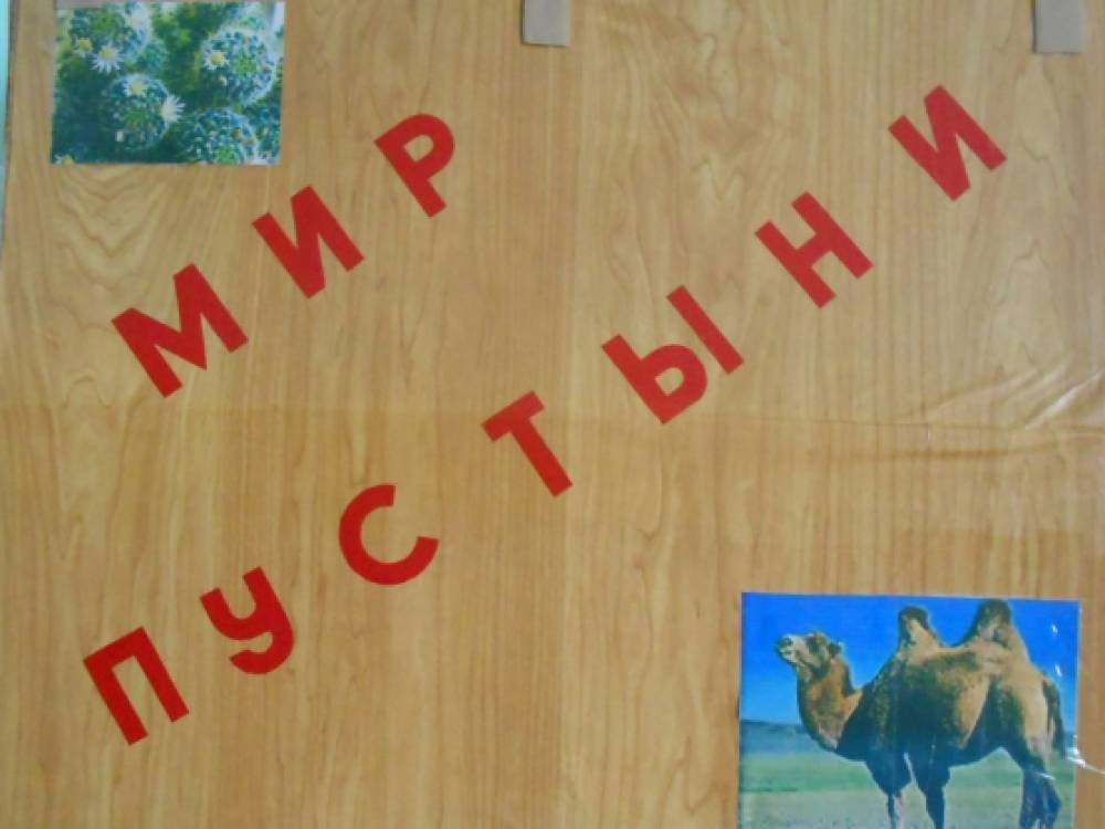 Наглядно-дидактическое пособие «Мир пустыни». Фото Наглядно-дидактическое пособие «Мир пустыни».