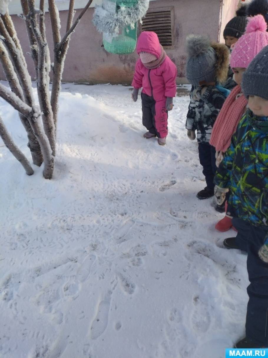 НОД по ФКЦМ «Прогулка наблюдение «Птицы»