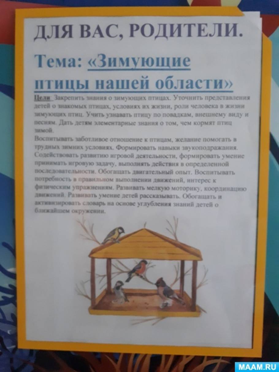 Краткосрочный проект в старшей группе зимующие птицы Краткосрочный проект в подготовительной группе "Зимующие птицы" (2 фото). Воспит