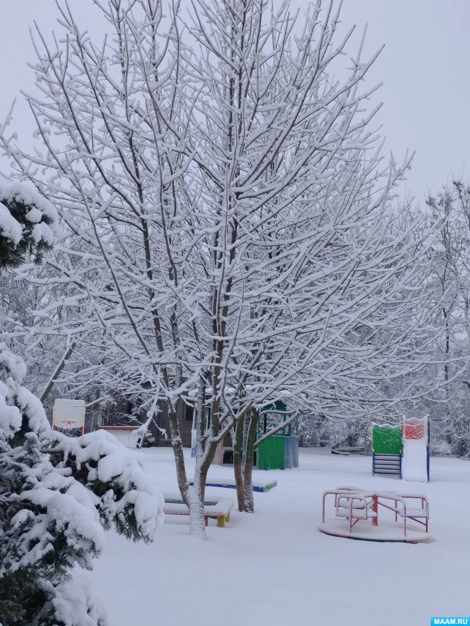 Конспект образовательного занятия в средней группе. Конспект образовательного занятия в средней группе