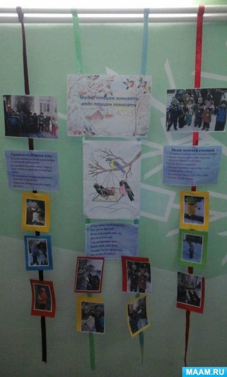 Экологические выставки в детском саду Фото Экологические выставки в детском саду
