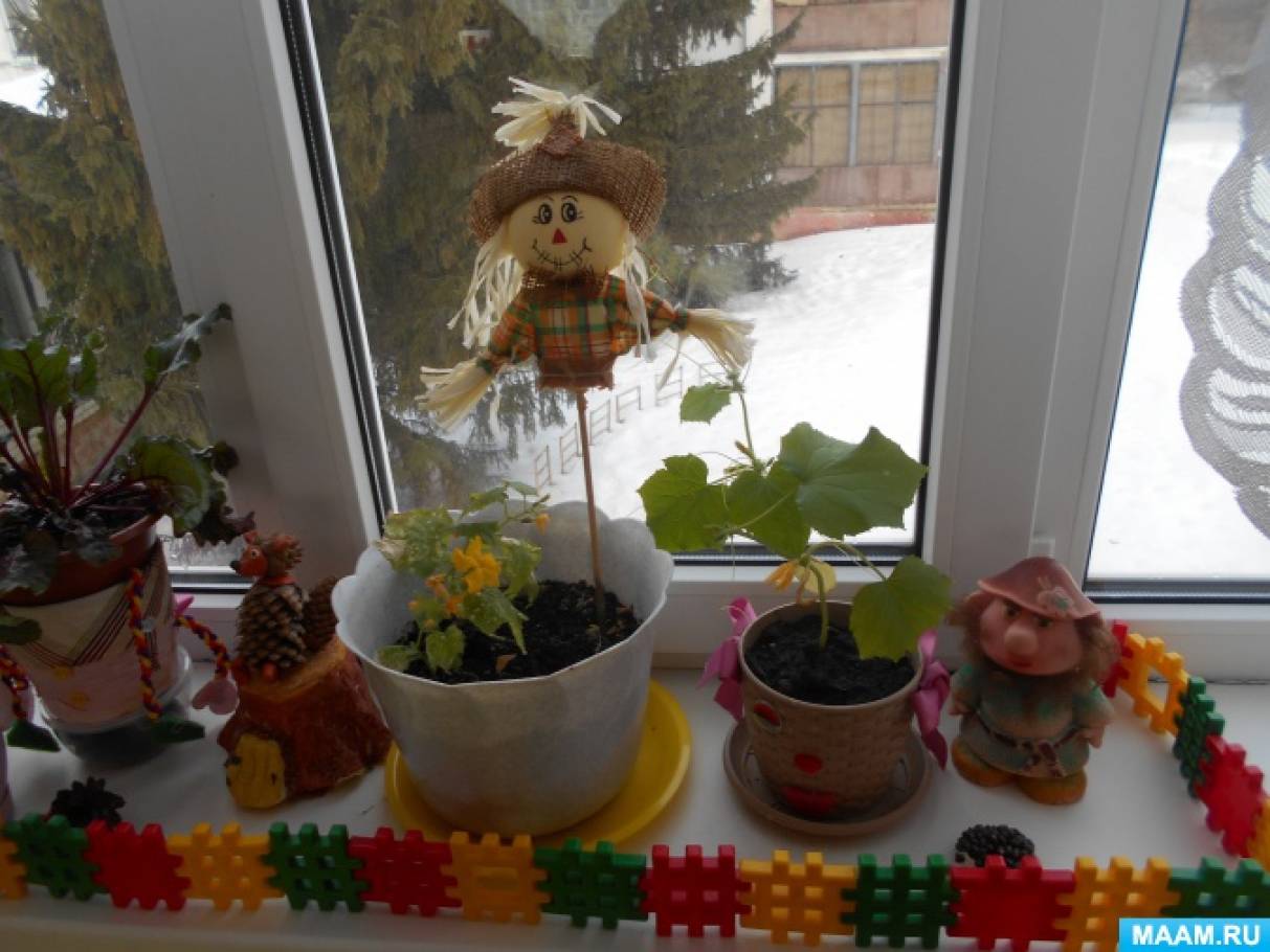 Проект «Огород на подоконнике»