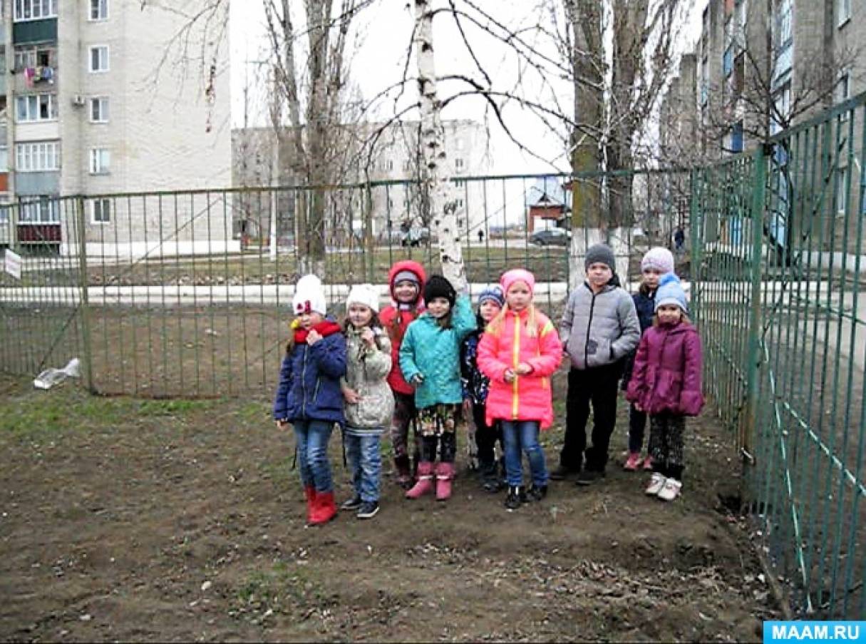 Прогулка наблюдение первоцветы. Прогулка наблюдение первоцветы