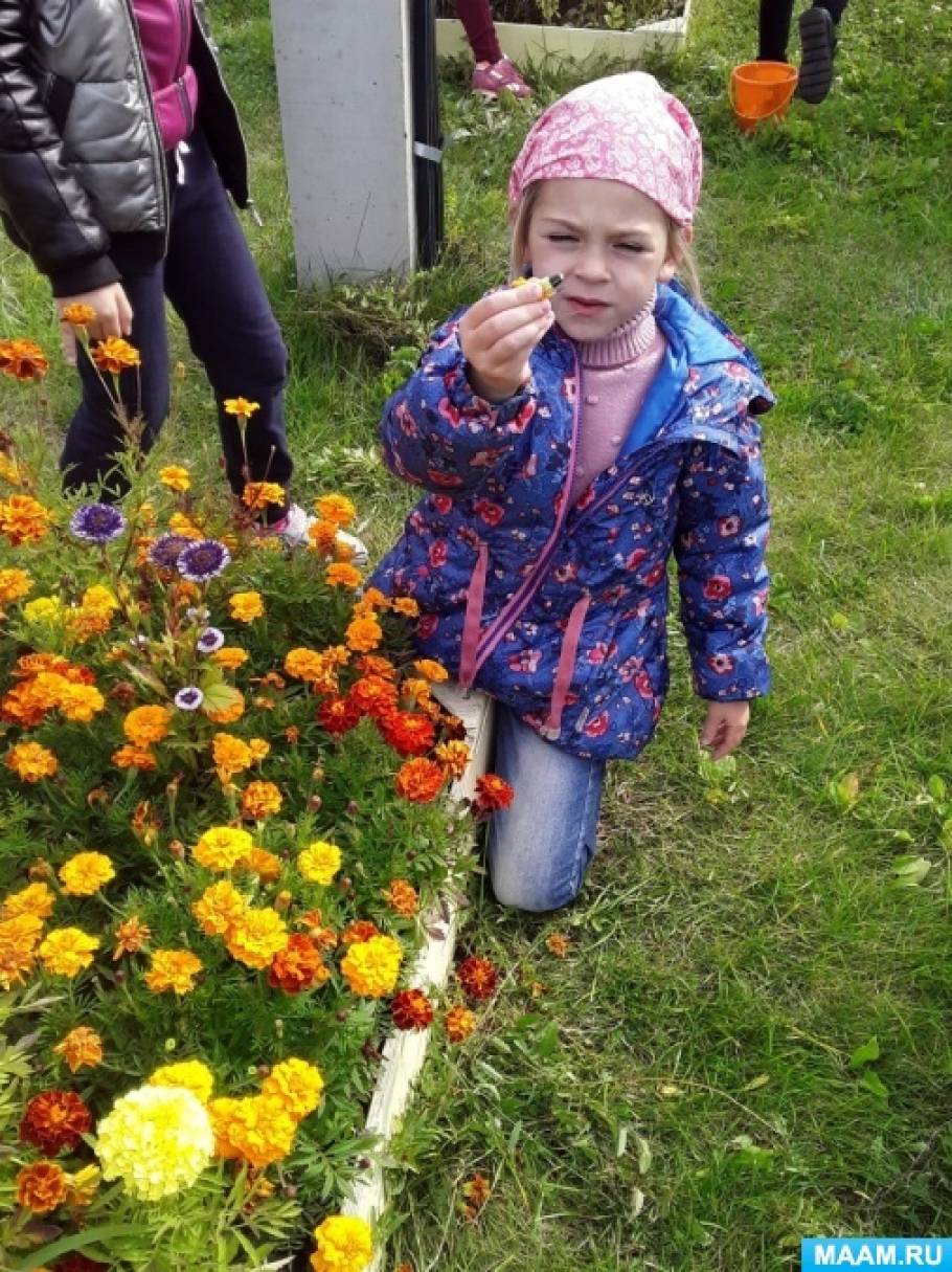 Экологическая акция в доу семечко и зернышко про запас. Смотреть фото Экологическая акция в доу семечко и зернышко про запас. Смотреть картинку Экологическая акция в доу семечко и зернышко про запас. Картинка про Экологическая акция в доу семечко и зернышко про запас. Фото Экологическая акция в доу семечко и зернышко про запас
