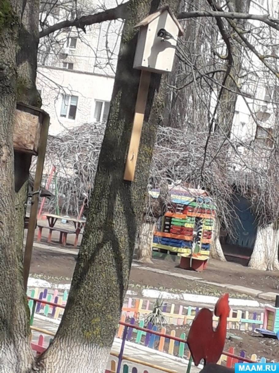 акция день птиц в детском саду. Смотреть фото акция день птиц в детском саду. Смотреть картинку акция день птиц в детском саду. Картинка про акция день птиц в детском саду. Фото акция день птиц в детском саду