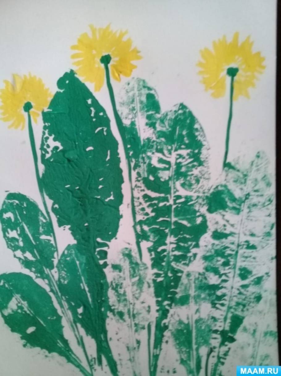 Конспект ООД по рисованию в старшей группе «Рисование одуванчиков отпечатками листьев»