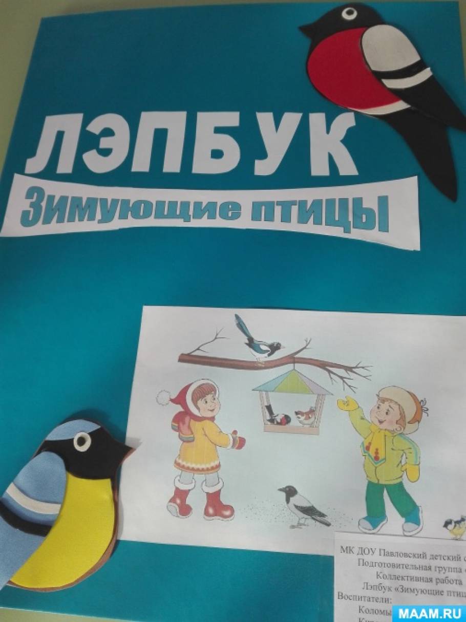 Лэпбук «Зимующие птицы» Фото Лэпбук «Зимующие птицы»