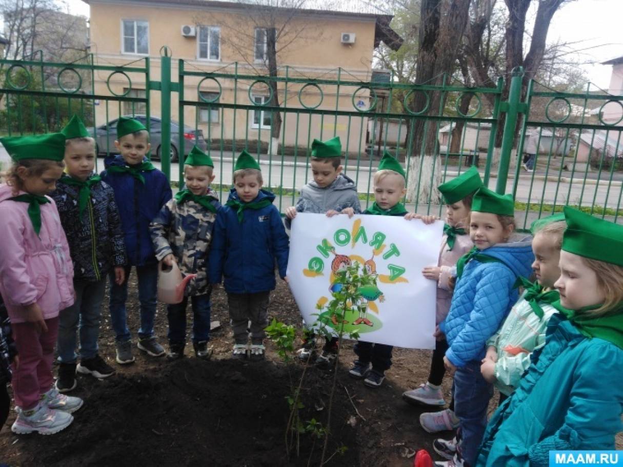 Фотоотчет «День Эколят в подготовительной группе. Сажаем деревья на участке детского сада»