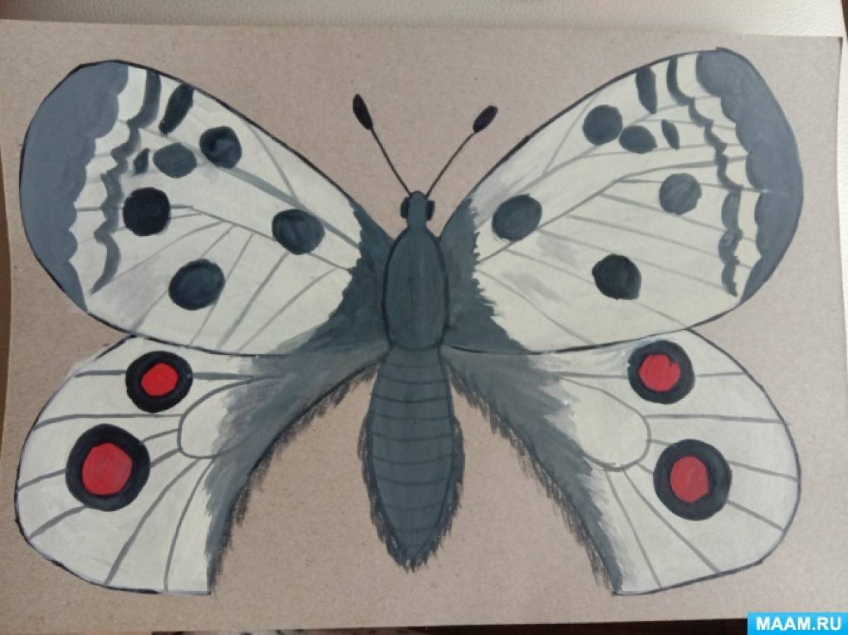 Рисование бабочка старшая группа. Рисуем бабочку в старшей группе. Удивительные бабочки рисунок детская поделка. Нарисовать бабочку на веранде. 4 Класс на тему удивительные бабочки рисунки или поделки.