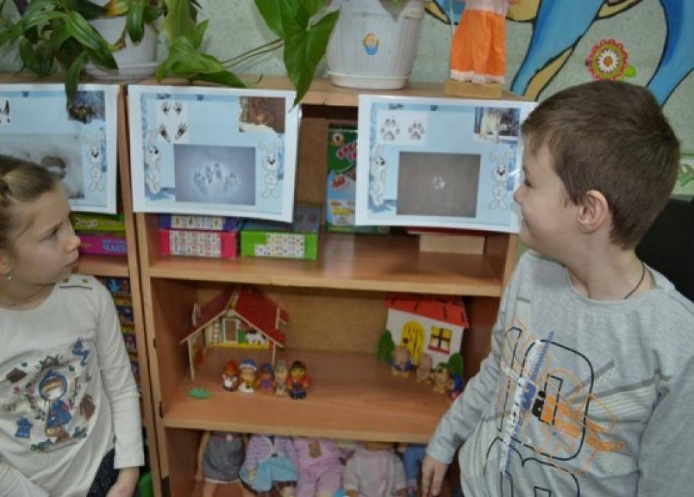 Проект «Следы на снегу» Фото Проект «Следы на снегу»