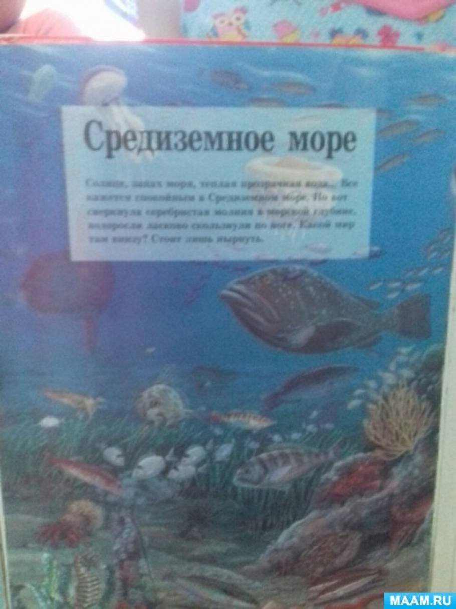 Конспект занятия в старшей группе «Морские обитатели» по изодеятельности в технике пластилинографии Фото Конспект занятия в старшей группе «Морские обитатели» по изодеятельности в технике пластилинографии