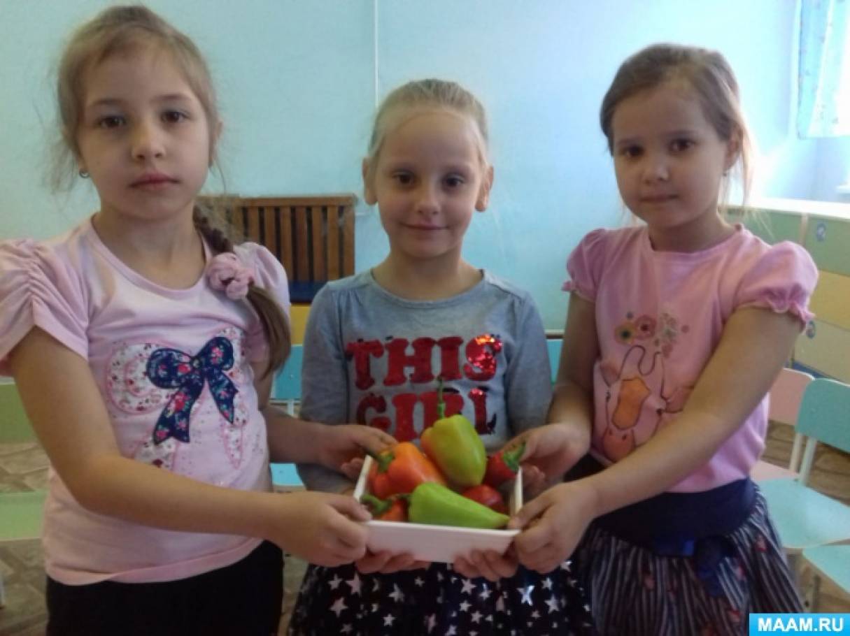 Беседа еда вкусная и полезная что на грядке растет в подготовительной группе. Смотреть фото Беседа еда вкусная и полезная что на грядке растет в подготовительной группе. Смотреть картинку Беседа еда вкусная и полезная что на грядке растет в подготовительной группе. Картинка про Беседа еда вкусная и полезная что на грядке растет в подготовительной группе. Фото Беседа еда вкусная и полезная что на грядке растет в подготовительной группе