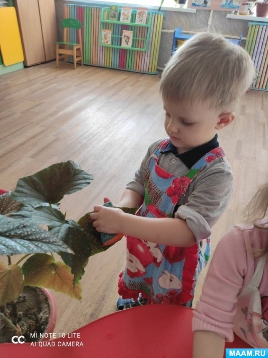 Для чего малышам нужны комнатные растения