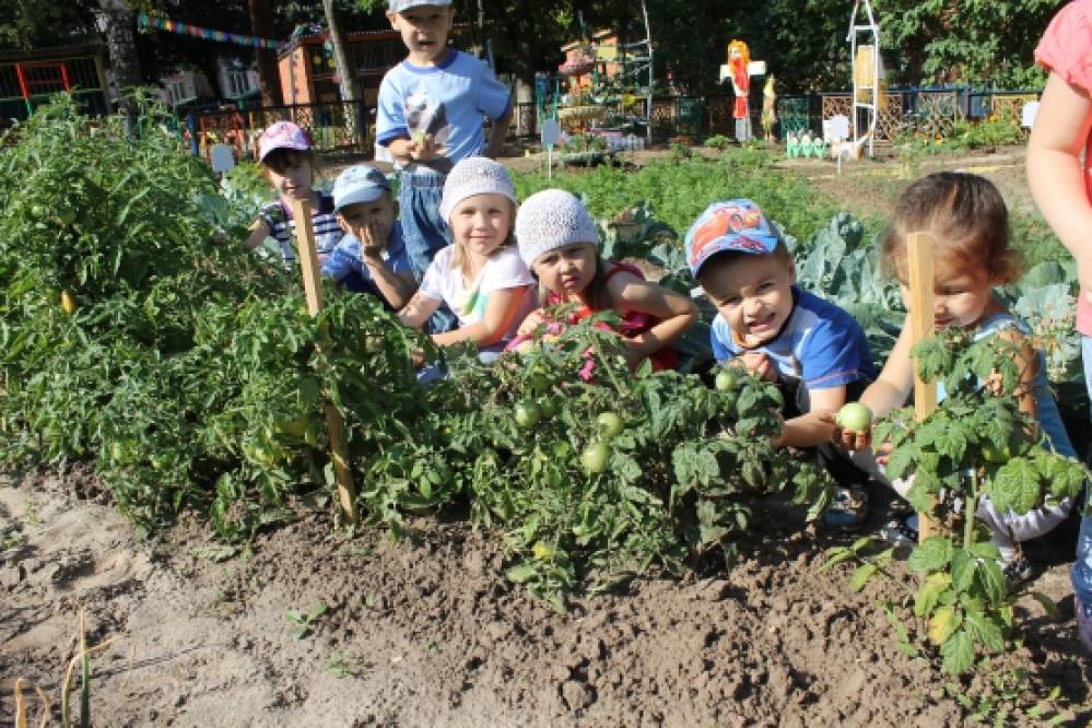 Что посеешь то и пожнешь для детей. Смотреть фото Что посеешь то и пожнешь для детей. Смотреть картинку Что посеешь то и пожнешь для детей. Картинка про Что посеешь то и пожнешь для детей. Фото Что посеешь то и пожнешь для детей