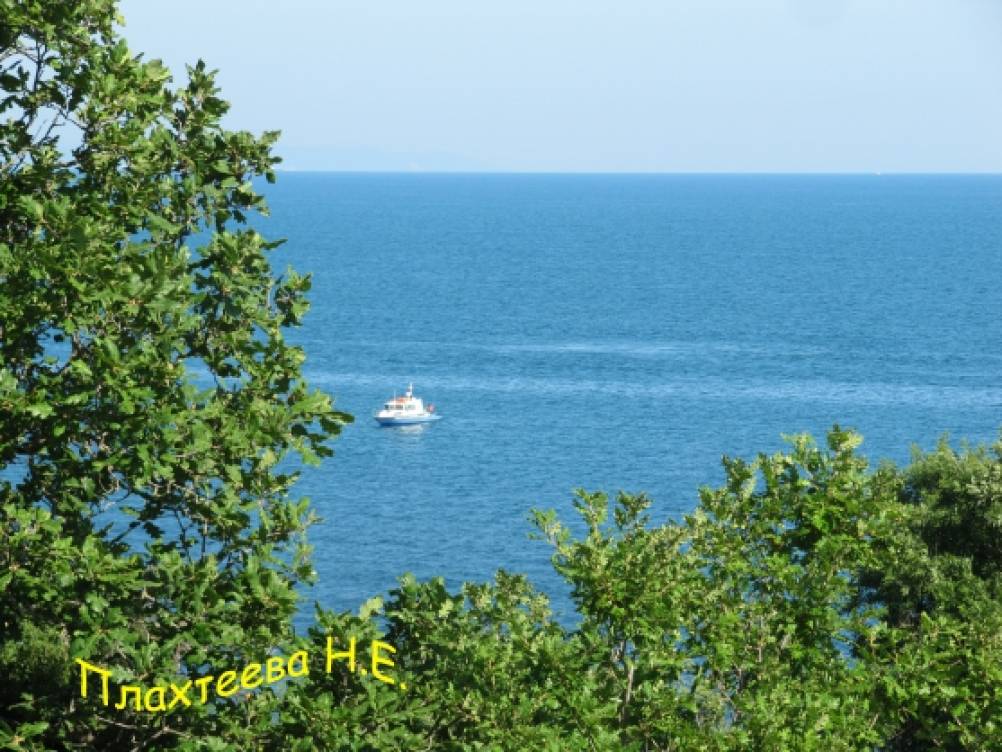 Летний отдых на Чёрном море Фото Летний отдых на Чёрном море