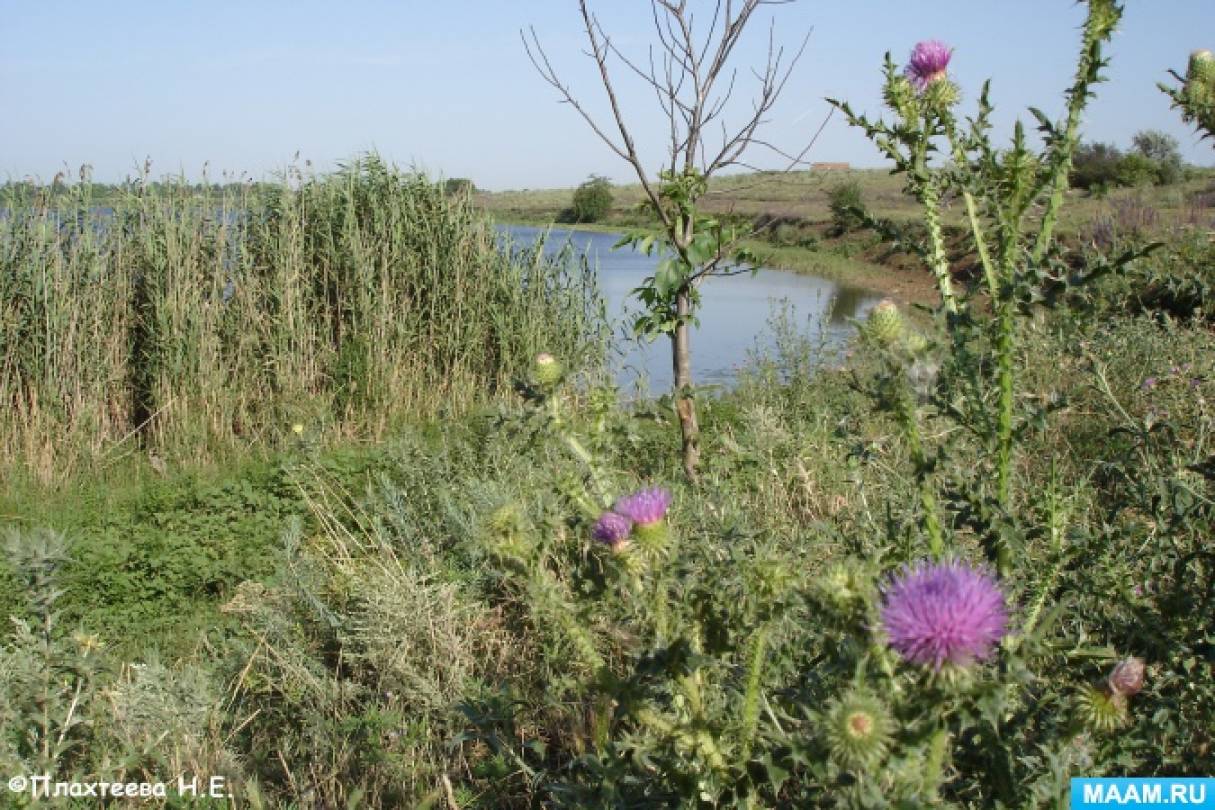 Что нового вы узнали о степных реках кубани какие. Смотреть фото Что нового вы узнали о степных реках кубани какие. Смотреть картинку Что нового вы узнали о степных реках кубани какие. Картинка про Что нового вы узнали о степных реках кубани какие. Фото Что нового вы узнали о степных реках кубани какие