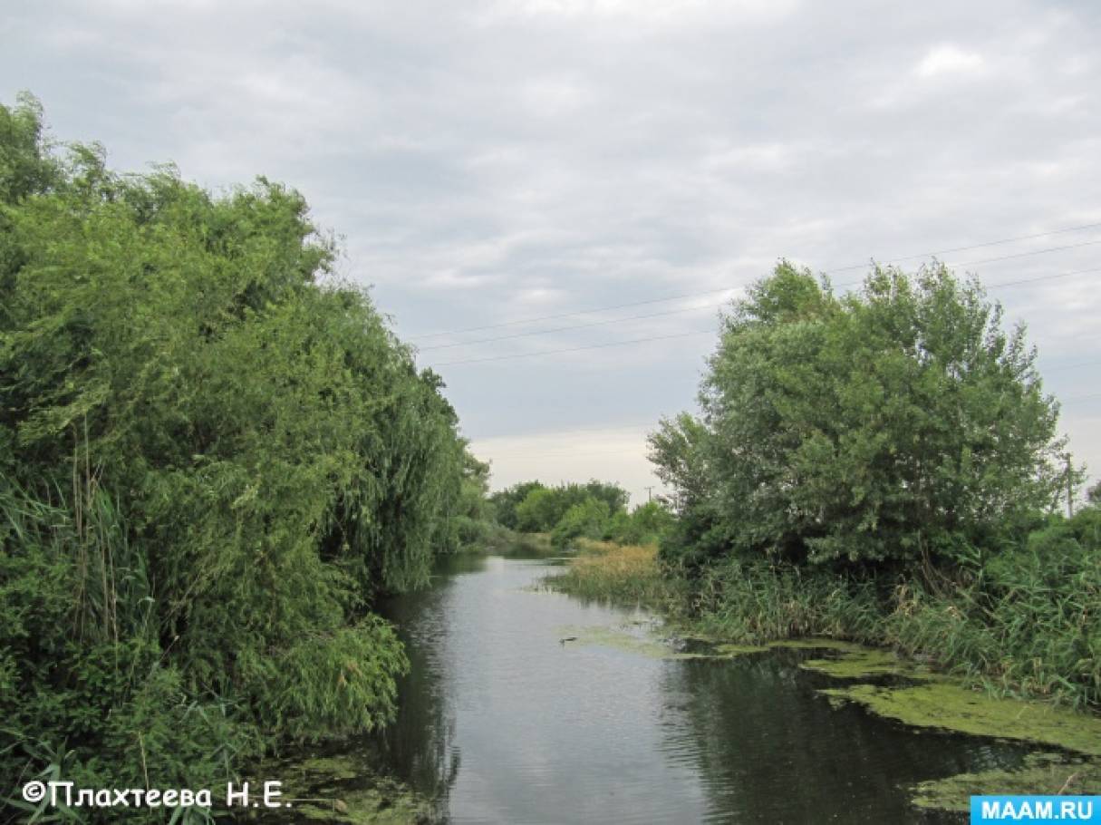 detsad 14992 1530936106 морской сбросной канал славянский район что это