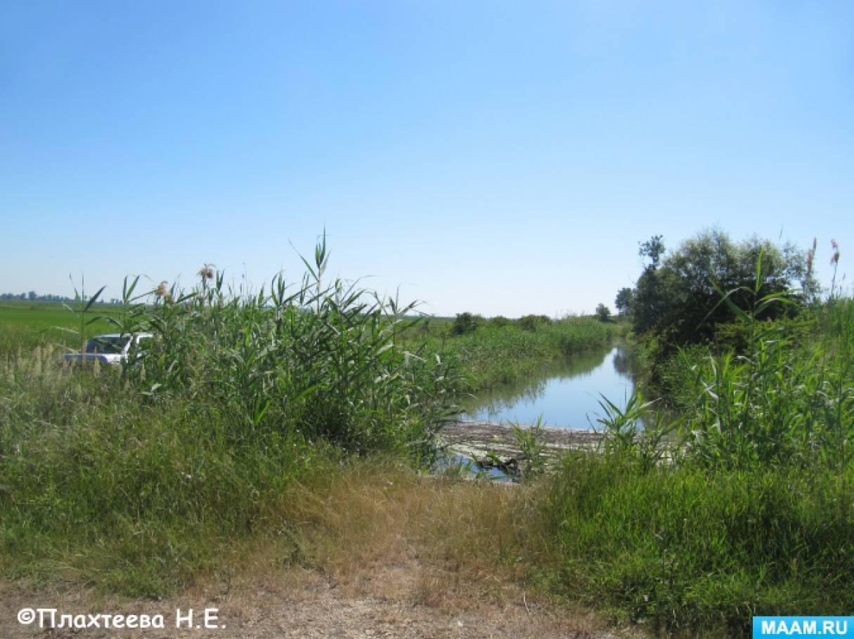 detsad 14992 1530936146 морской сбросной канал славянский район что это