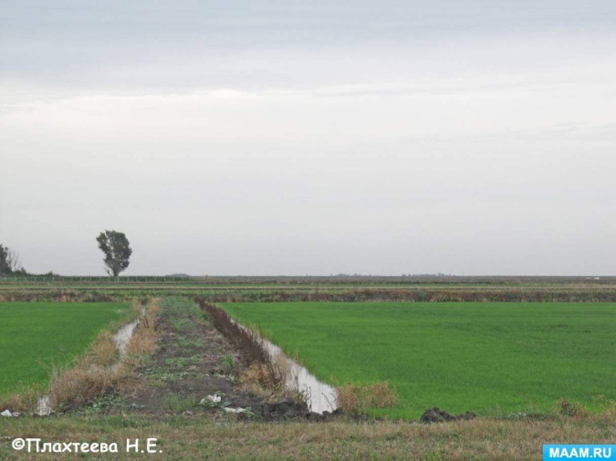 detsad 14992 1530936182 морской сбросной канал славянский район что это