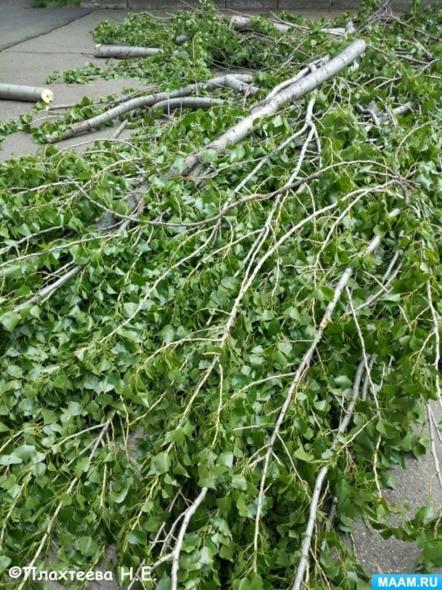Для Новогоднего Праздника Надо Было Изготовить 48