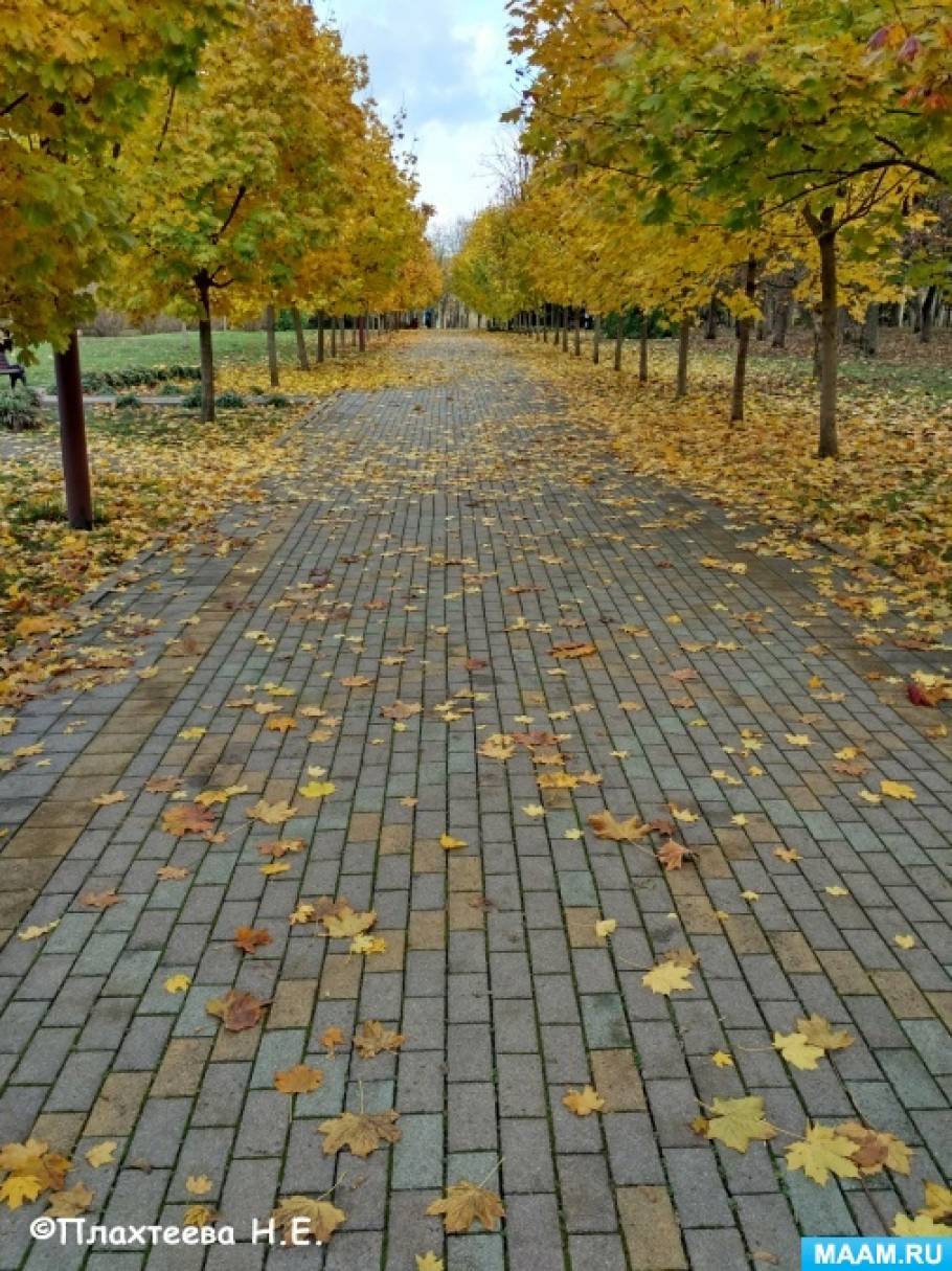 Фото «Деревенька в осеннем лесу»