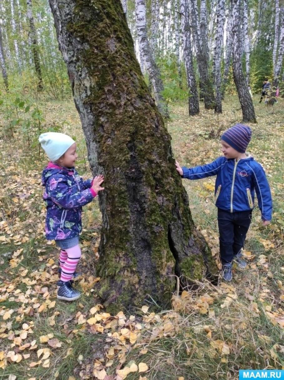 Смотреть фотографию №4 Фото №4 В этом убедились Почемучки из детского сада Солнышко когда отправились в рощу