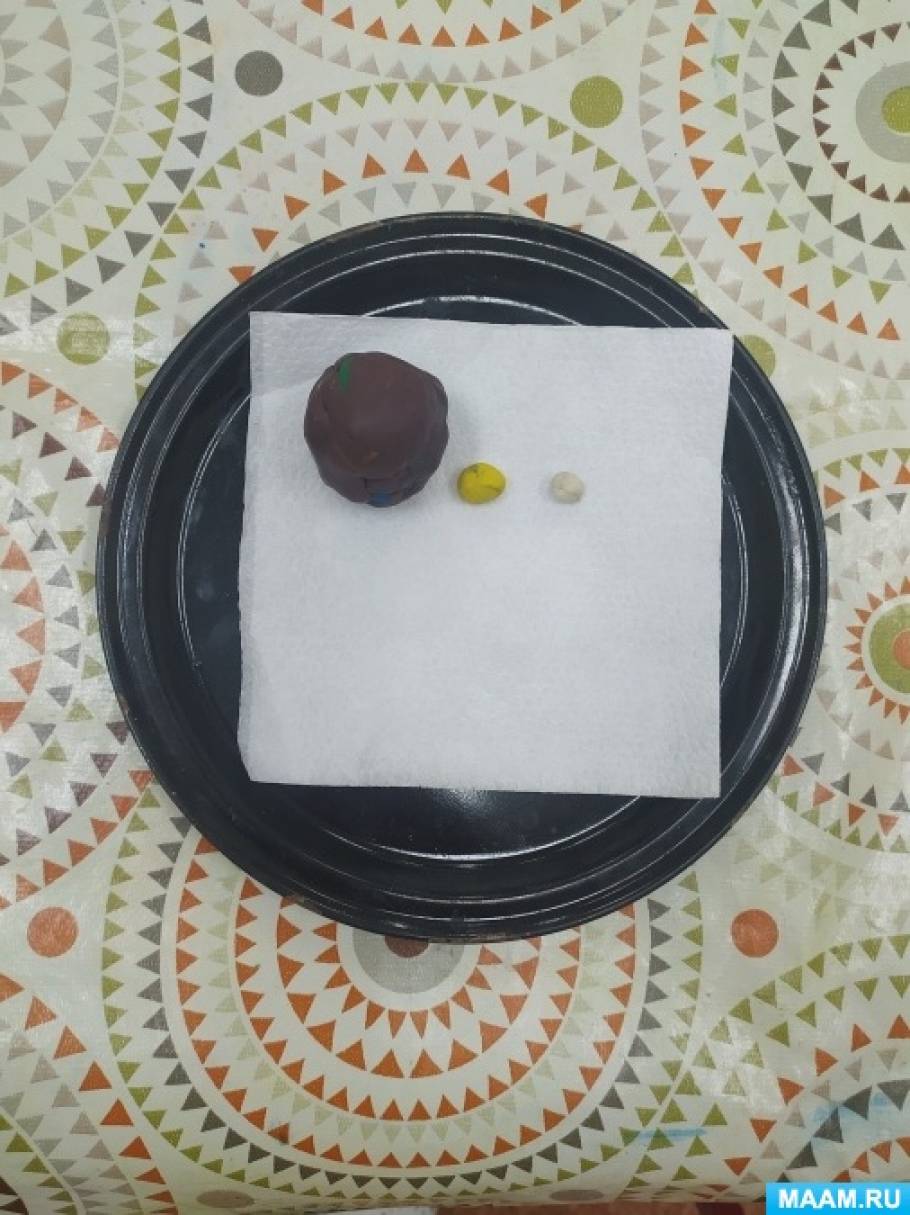 Конспект занятия в средней группе «Ёжик из скорлупы семечек подсолнуха ...