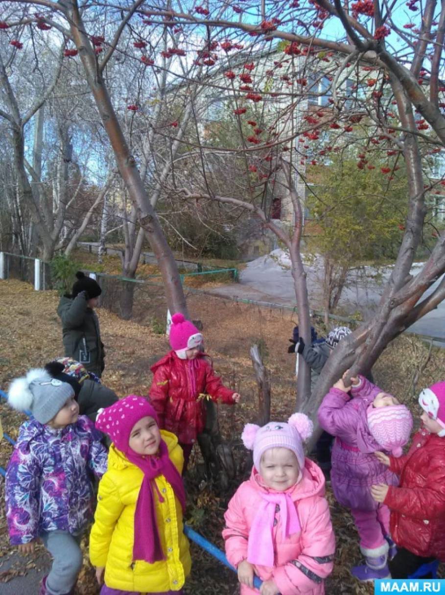 Коллективная работа по лепке «Красная рябина» Фото Коллективная работа по лепке «Красная рябина»