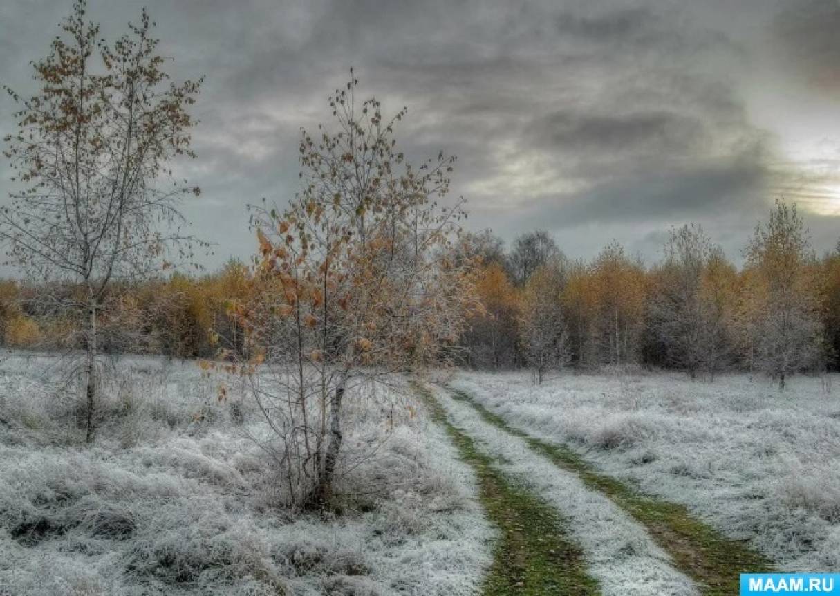 Поздней осени какое число. Поздняя осень. Первый снег. Конец осени. Ноябрь пейзаж.