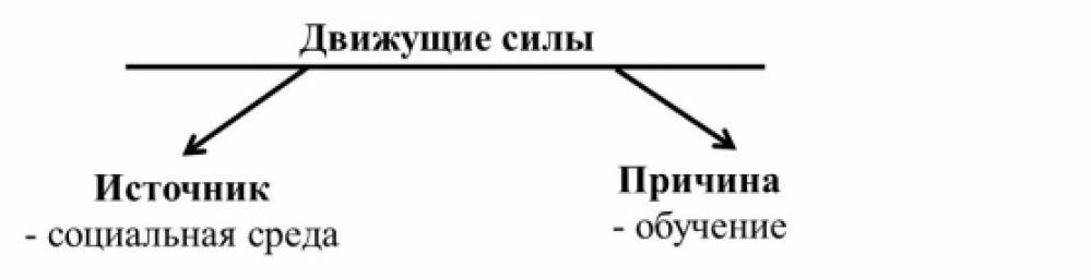 Наука изучающая закономерности развития ребенка