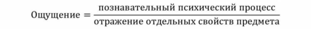 Общая и экспериментальная психология Фото Общая и экспериментальная психология