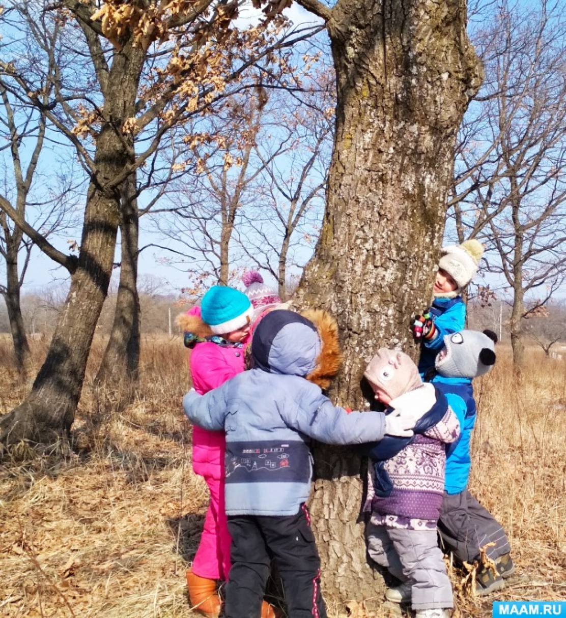 Тема прогулки с детьми. Наблюдение на прогулке. Дети наблюдают за деревьями. Весенняя прогулка в детском саду. Дети на прогулке весной.
