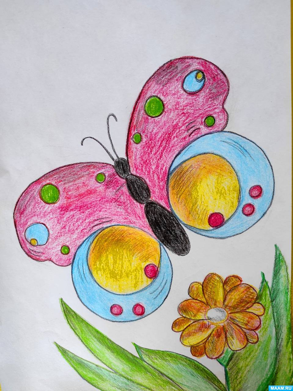 Мастер-класс по рисованию цветными карандашами «Бабочка на лугу» с детьми старшего дошкольного возраста