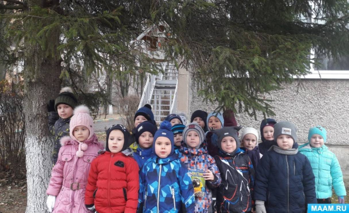 Видео и фотоотчет «Как мы украшали кормушку для птичек» Фото Видео и фотоотчет «Как мы украшали кормушку для птичек»